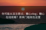 你可能从没注意过；糖心vlog；糖心在线观看？原来门槛就在这里